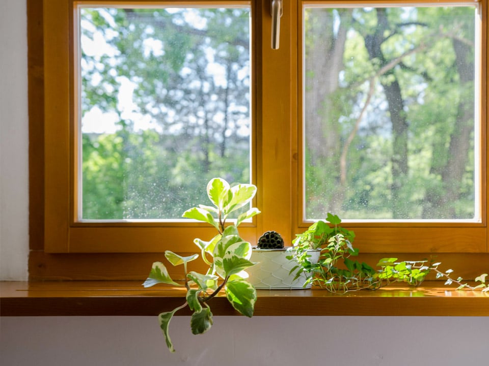 Fenêtre en bois vue intérieur