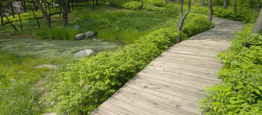 allee-de-jardin-bois